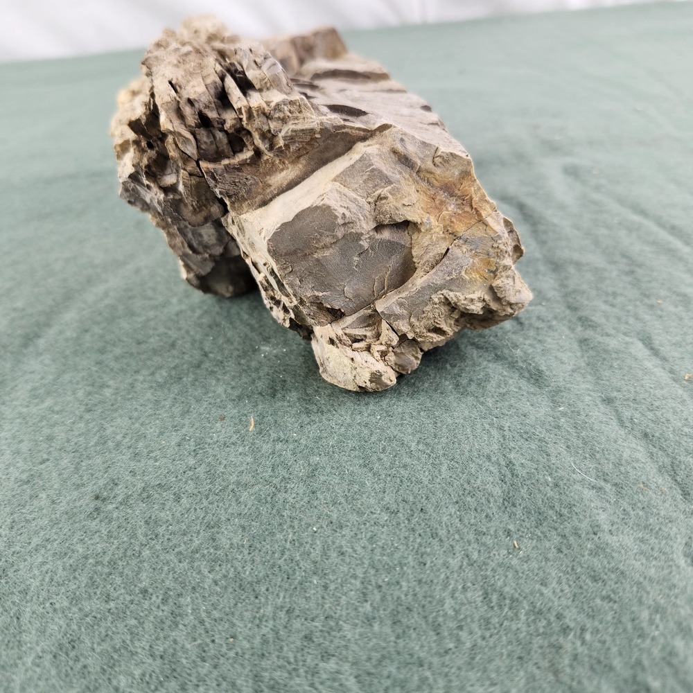 Petrified Wood Specimen 6"x3.5"x2.5" - Picture 5 of 8